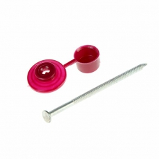 Гвозди кровельные для ондулина 70 мм, шляпка бордо (100 шт) - пакет ( 0,52501 кг) | 151918 | Tech-KREP