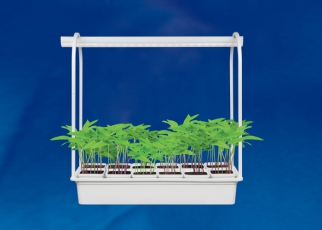 Светильник-подставка металлическая для светильника ULI-P 570мм 12 кашпо в/к, белые UFP-G34S WHITE 12 | UL-00004150 | Uniel