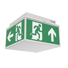 Световой указатель аварийного освещения светодиодный Quad серии Advanced 6W IP20/IP65 3ч Teletest | V1-EM-70432-31A01-2000665 | VARTON